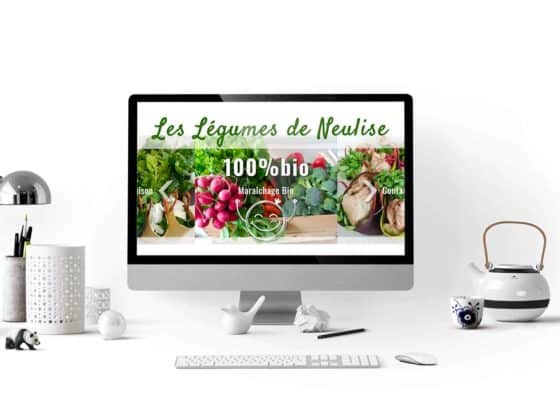 design site web pour legumes bio