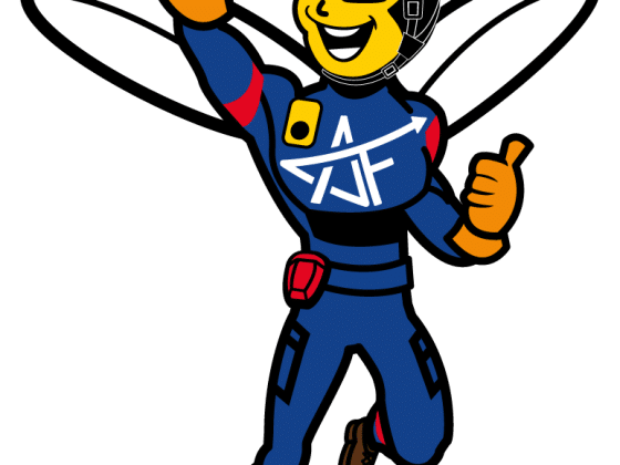 création illustration consignes de sécurité, agence DU SIROP design : illustration vectorielle abeille super héros