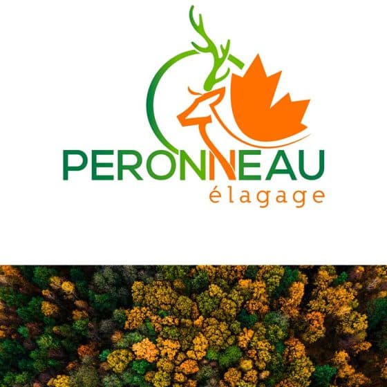 agence image de marque, DU SIROP design : logo client